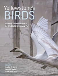 Cover image: Yellowstone’s Birds 9780691217833
