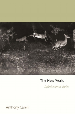 Imagen de portada: The New World 9780691218793
