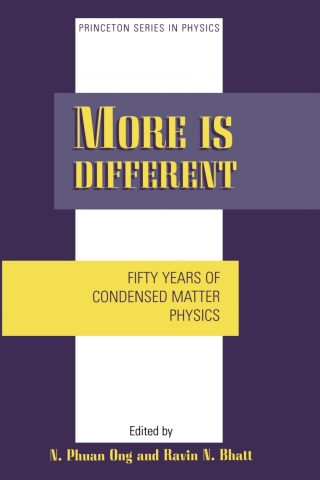Imagen de portada: More is Different 1st edition 9780691088655