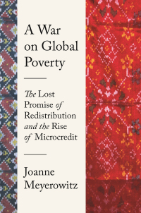 Omslagafbeelding: A War on Global Poverty 9780691206332