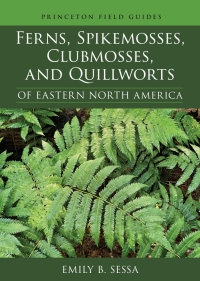 Omslagafbeelding: Ferns, Spikemosses, Clubmosses, and Quillworts of Eastern North America 9780691219455