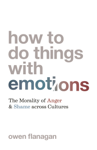Cover image: How to Do Things with Emotions 9780691220994