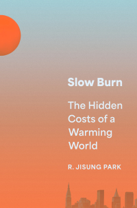 Cover image: Slow Burn 9780691221038
