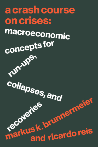 Cover image: A Crash Course on Crises 9780691221106
