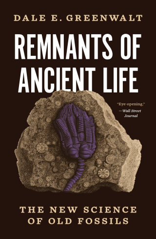 Cover image: Remnants of Ancient Life 9780691221168