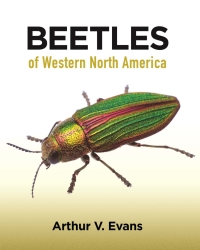 صورة الغلاف: Beetles of Western North America 9780691164281