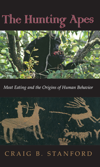 Cover image: The Hunting Apes 9780691011608
