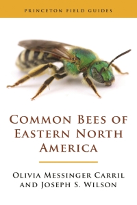 صورة الغلاف: Common Bees of Eastern North America 9780691175492