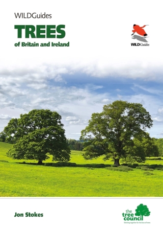Imagen de portada: Trees of Britain and Ireland 9780691224169