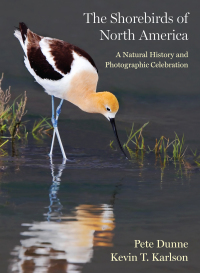 Imagen de portada: The Shorebirds of North America 9780691220956