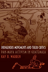 Cover image: Indigenous Movements and Their Critics 9780691058825