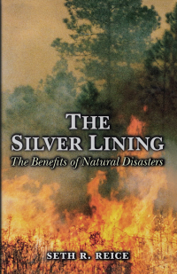 Cover image: The Silver Lining 9780691059020