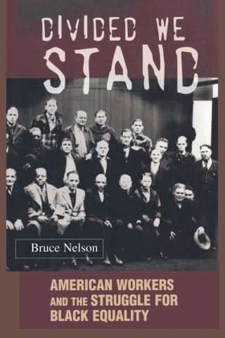 Imagen de portada: Divided We Stand 9780691095349