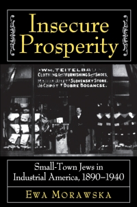 Cover image: Insecure Prosperity 9780691037356
