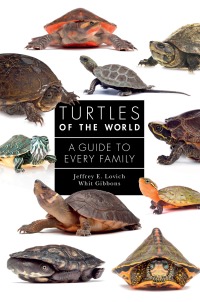 Omslagafbeelding: Turtles of the World 9780691223223
