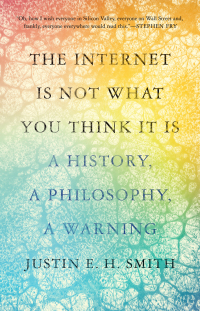 Omslagafbeelding: The Internet Is Not What You Think It Is 9780691212326
