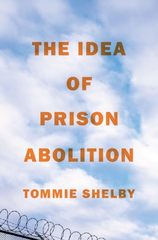 表紙画像: The Idea of Prison Abolition 9780691229768
