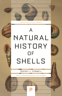 表紙画像: A Natural History of Shells 9780691229249