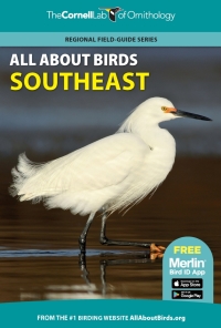 Imagen de portada: All About Birds Southeast 9780691990019