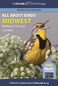 Cover image: All About Birds Midwest 9780691990002