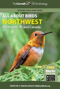 Imagen de portada: All About Birds Northwest 9780691990033