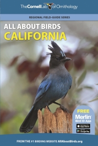 Titelbild: All About Birds California 9780691990057
