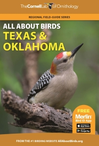 صورة الغلاف: All About Birds Texas and Oklahoma 9780691990064