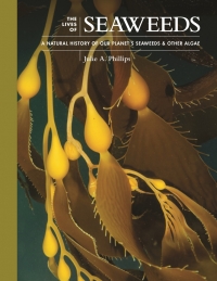 Cover image: The Lives of Seaweeds 9780691228556