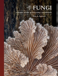 Cover image: The Lives of Fungi 9780691229843