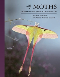 Cover image: The Lives of Moths 9780691228563