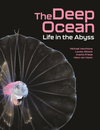 Cover image: The Deep Ocean 9780691226811