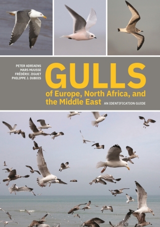 صورة الغلاف: Gulls of Europe, North Africa, and the Middle East 9780691222837