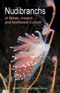 Cover image: Nudibranchs of Britain, Ireland and Northwest Europe 9780691208794