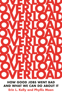 Cover image: Overload 9780691227085