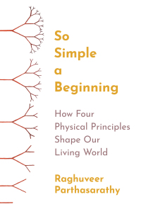 Cover image: So Simple a Beginning 9780691258676