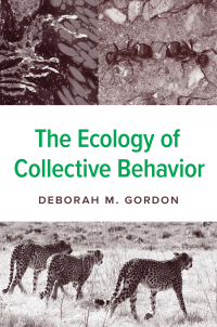 Titelbild: The Ecology of Collective Behavior 9780691232140