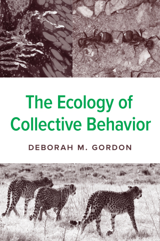 Cover image: The Ecology of Collective Behavior 9780691232140