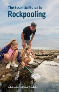 Omslagafbeelding: The Essential Guide to Rockpooling 9780995567313