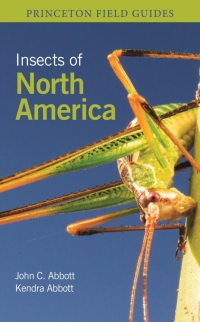 Cover image: Insects of North America 9780691232850