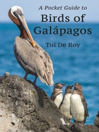 Omslagafbeelding: A Pocket Guide to Birds of Galápagos 9780691233635