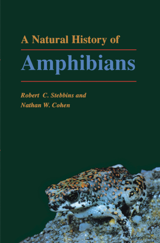 Imagen de portada: A Natural History of Amphibians 9780691032818