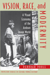 Omslagafbeelding: Vision, Race, and Modernity 9780691006451