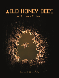 Imagen de portada: Wild Honey Bees 9780691235080