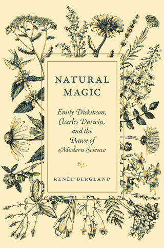 Cover image: Natural Magic 9780691235301