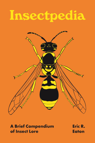 Imagen de portada: Insectpedia 9780691210346
