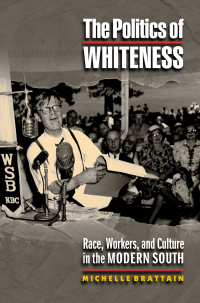 Imagen de portada: The Politics of Whiteness 9780691007311