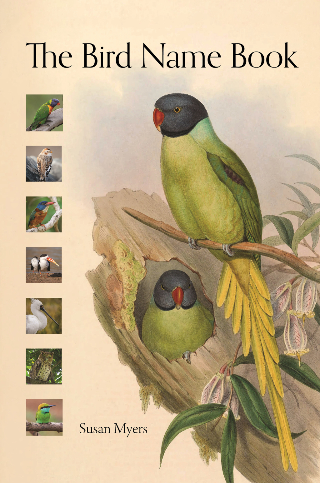 The Bird Name Book (eBook)