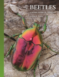 Cover image: The Lives of Beetles 9780691236513