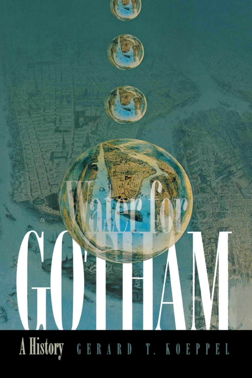 Water for Gotham eBook