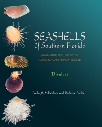 صورة الغلاف: Seashells of Southern Florida 9780691116068